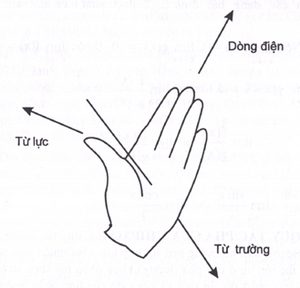 quy tắc bàn tay trái